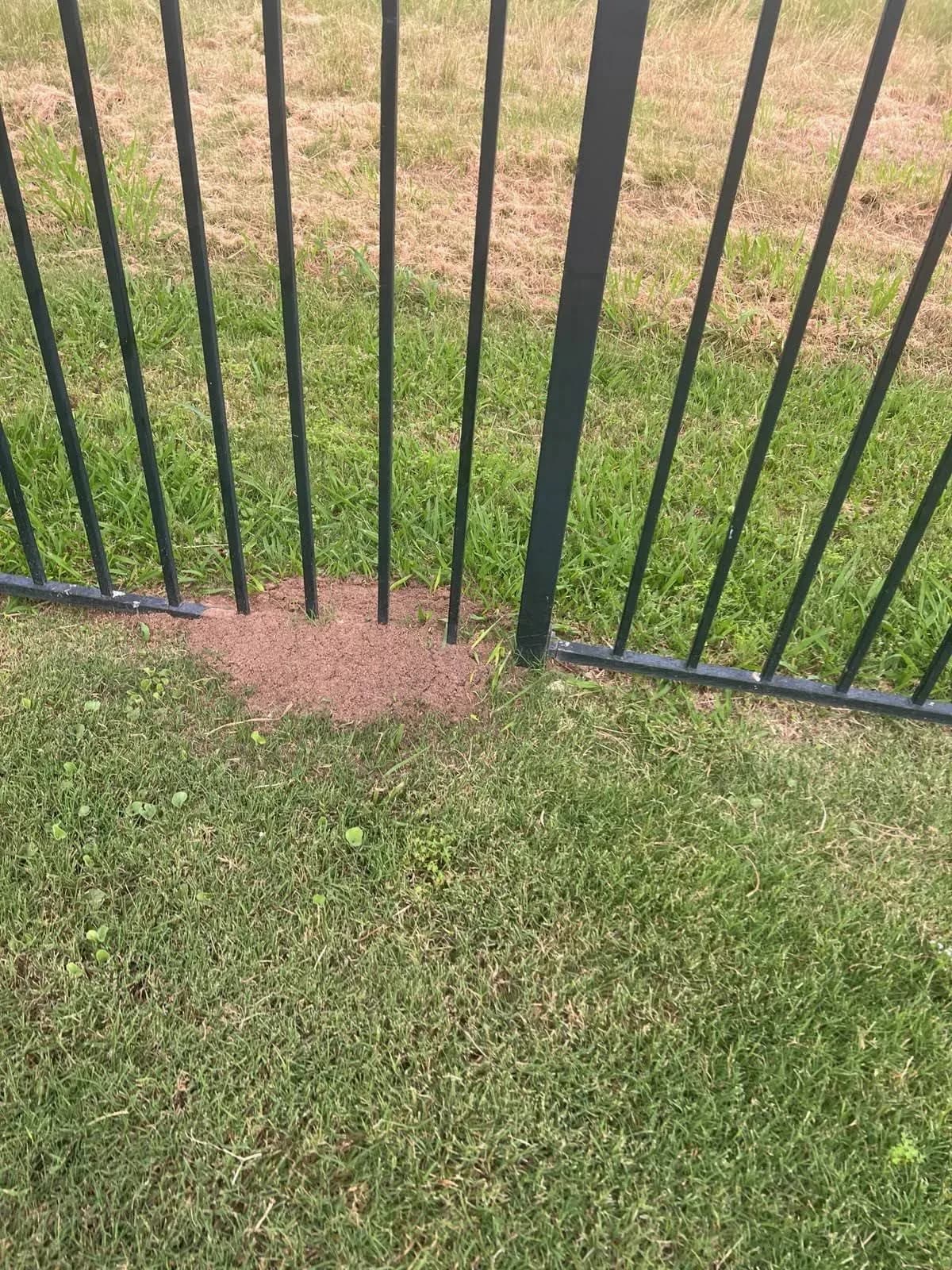 Root Home Services