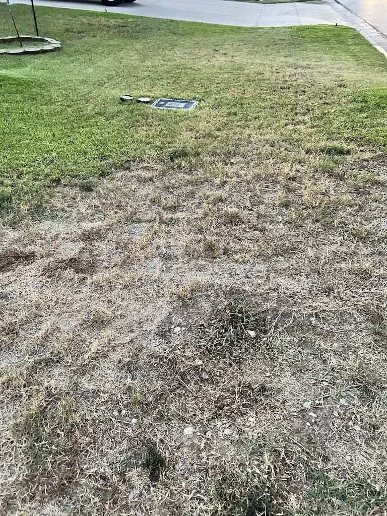 Root Home Services