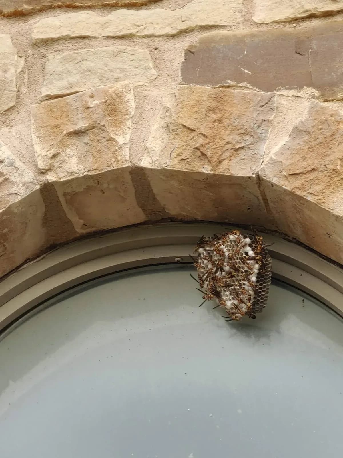 Root Home Services