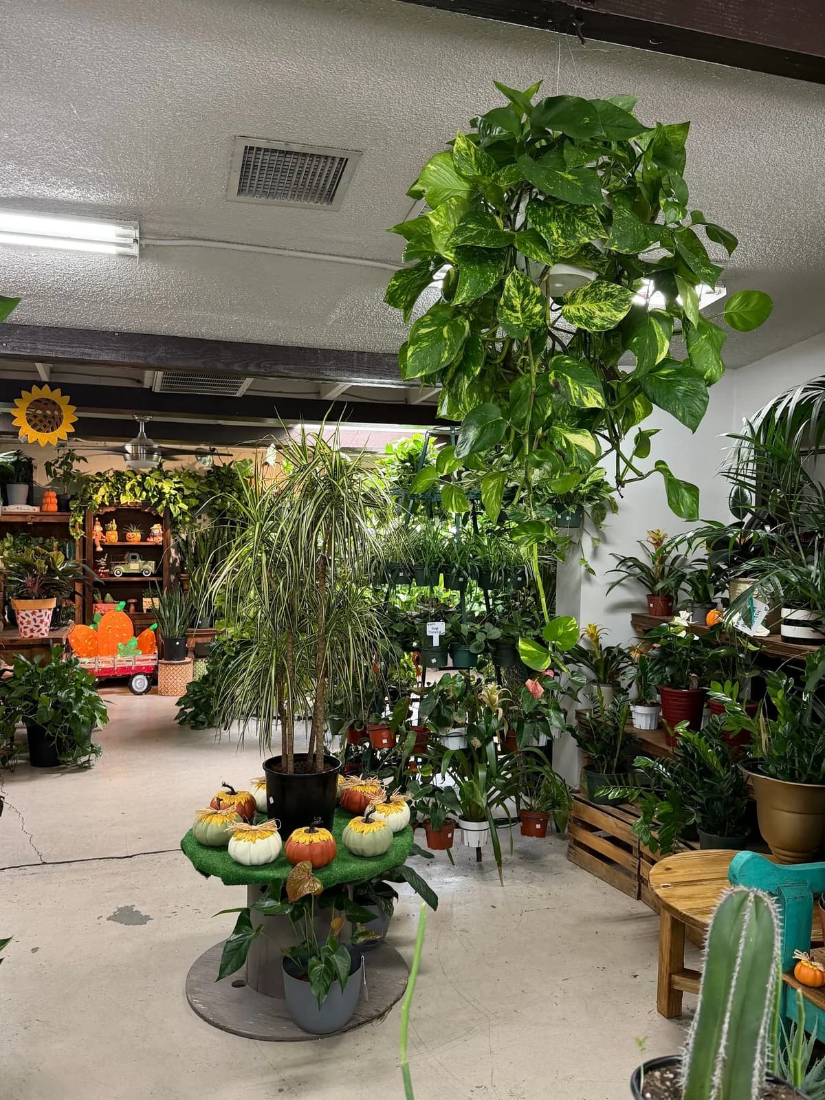 Business photo from Google Maps