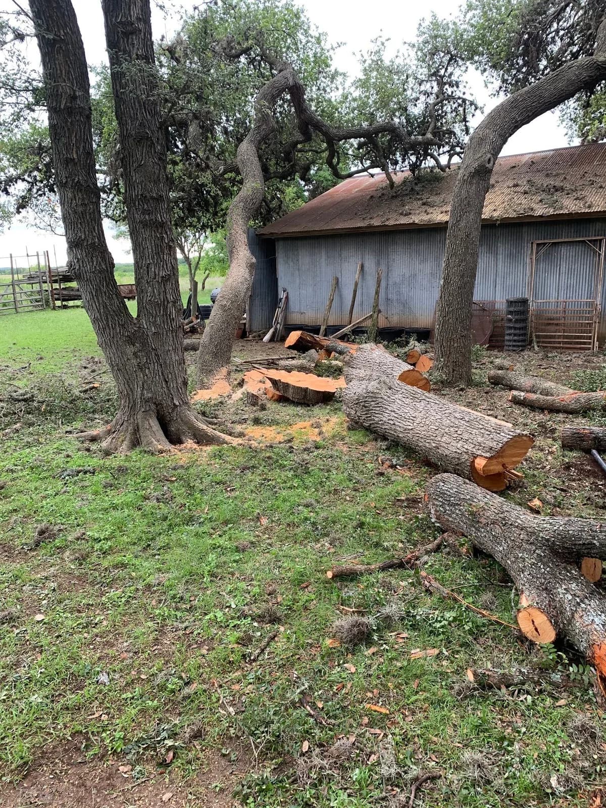 Business photo from Google Maps