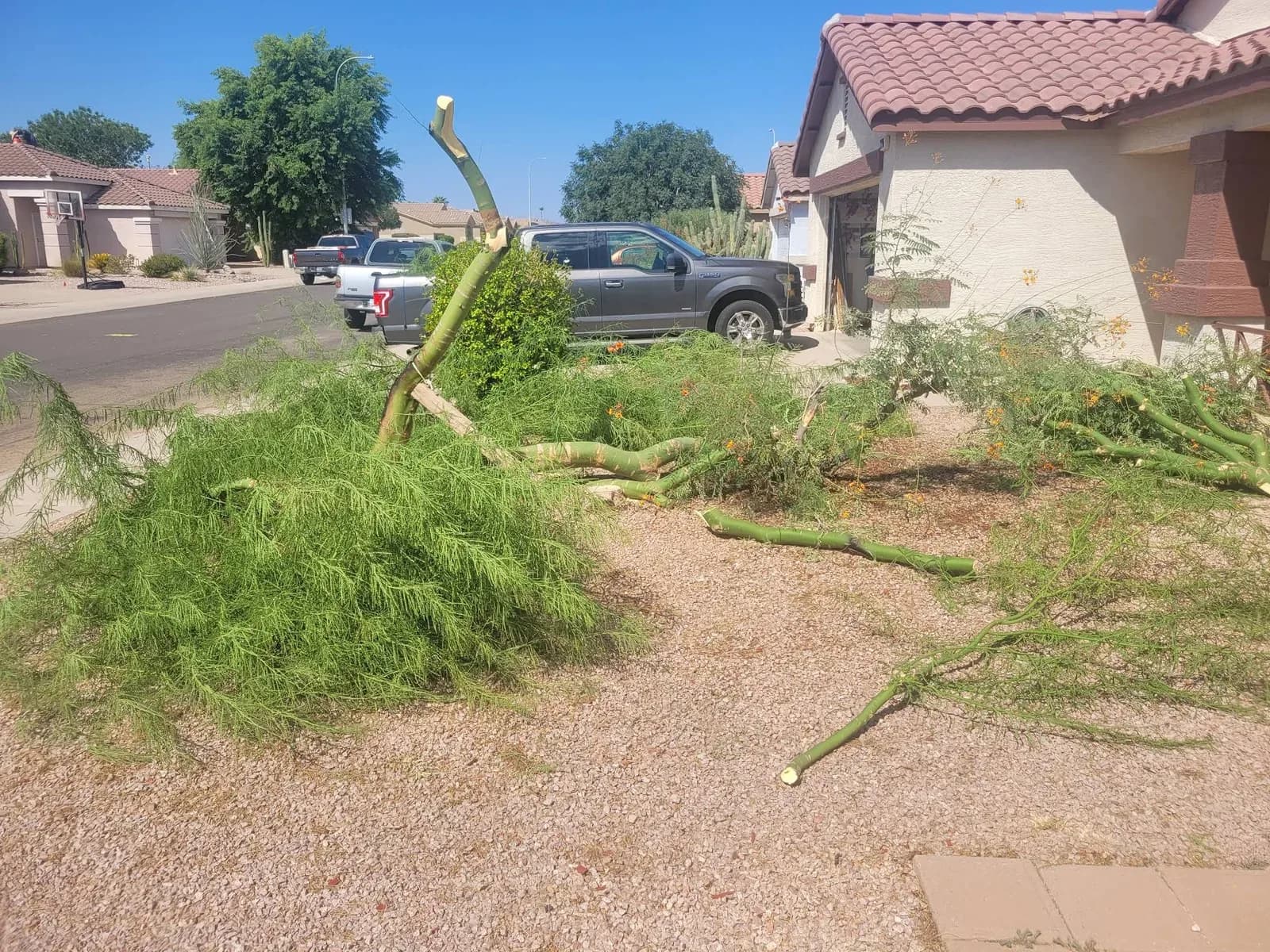Strong Junk Removal