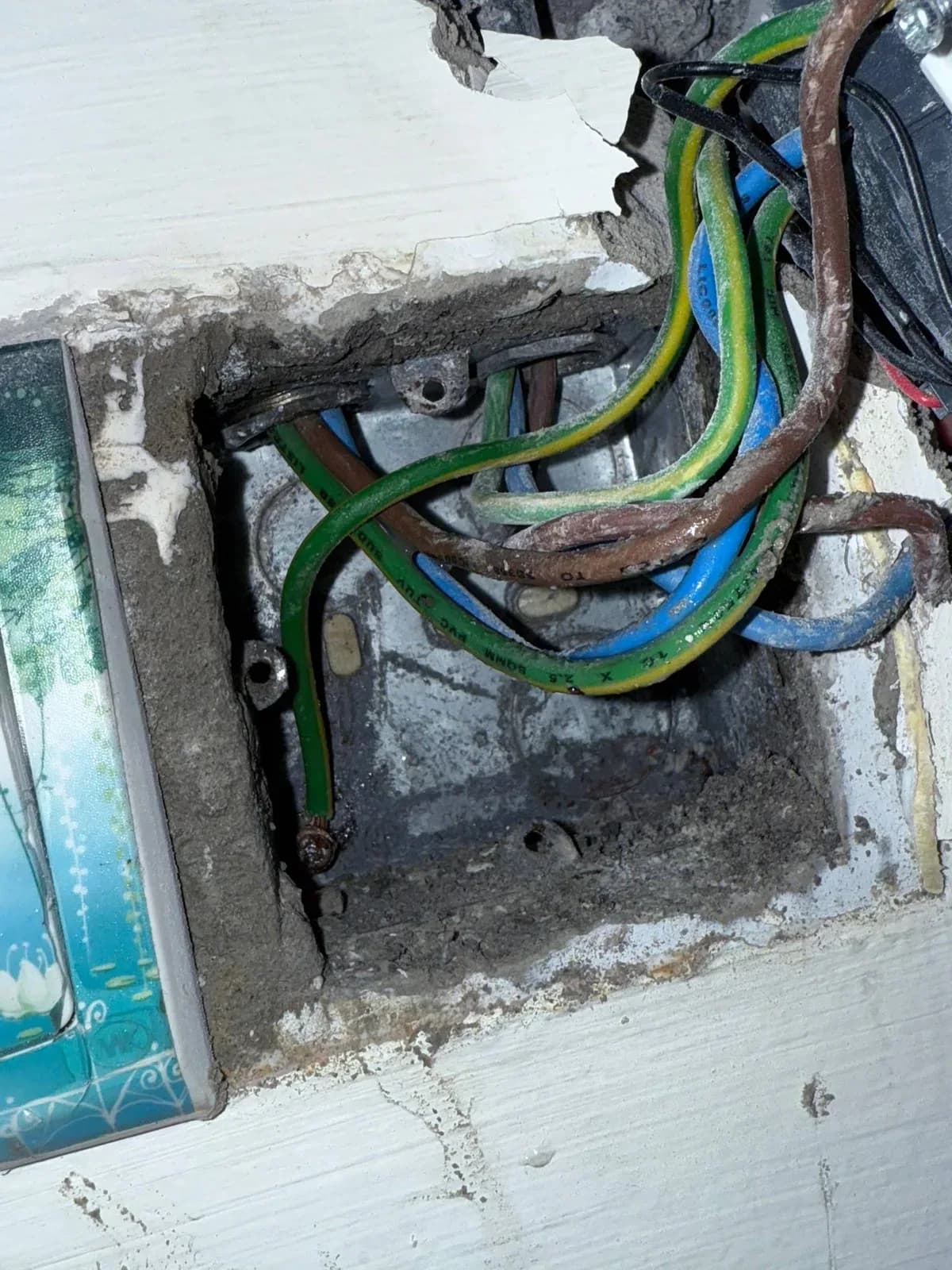 Direct Plumber SG
