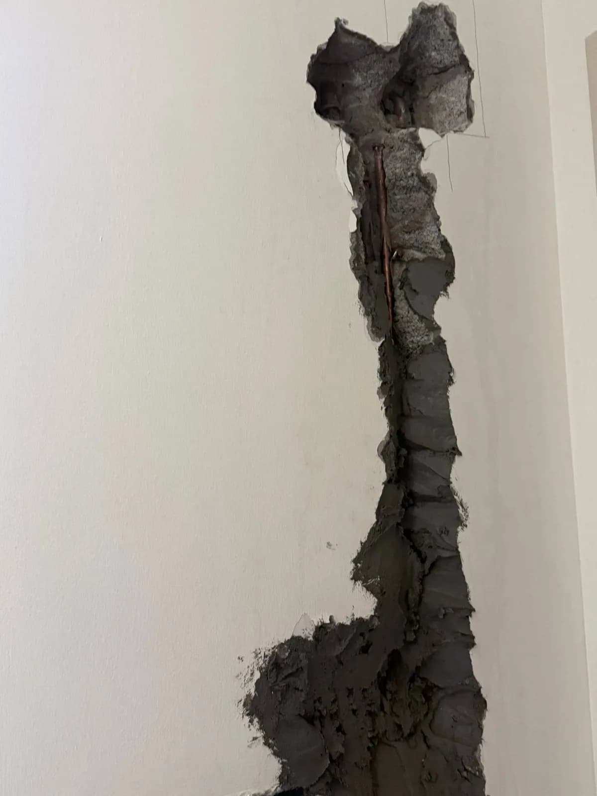 Direct Plumber SG