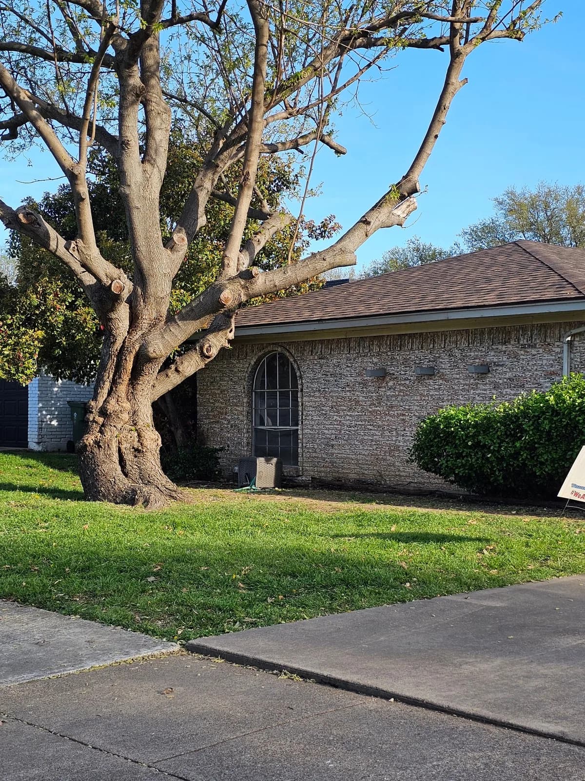 Business photo from Google Maps