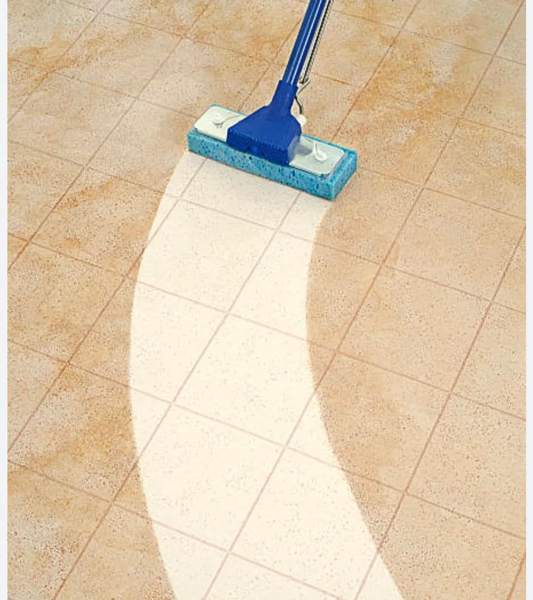 Lakshmi House cleaning Services