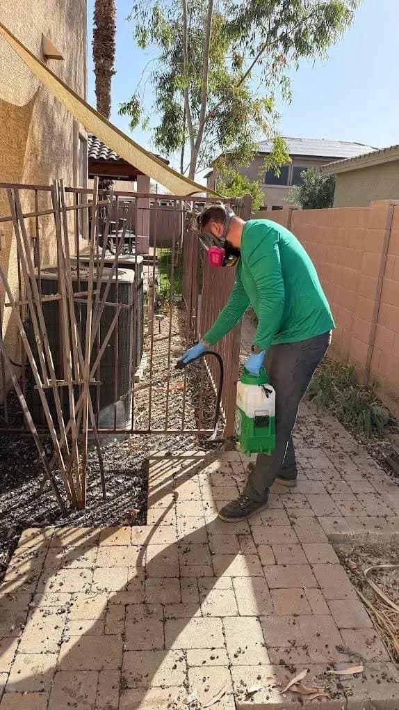 Responsible Pest & Scorpion Control