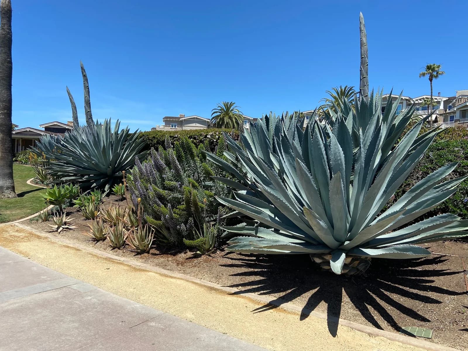 Business photo from Google Maps