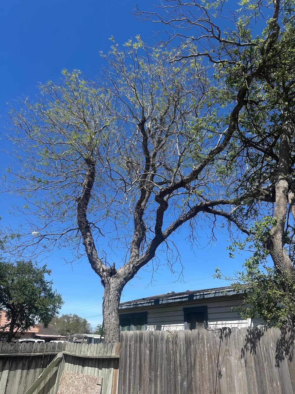 R&G Tree Service