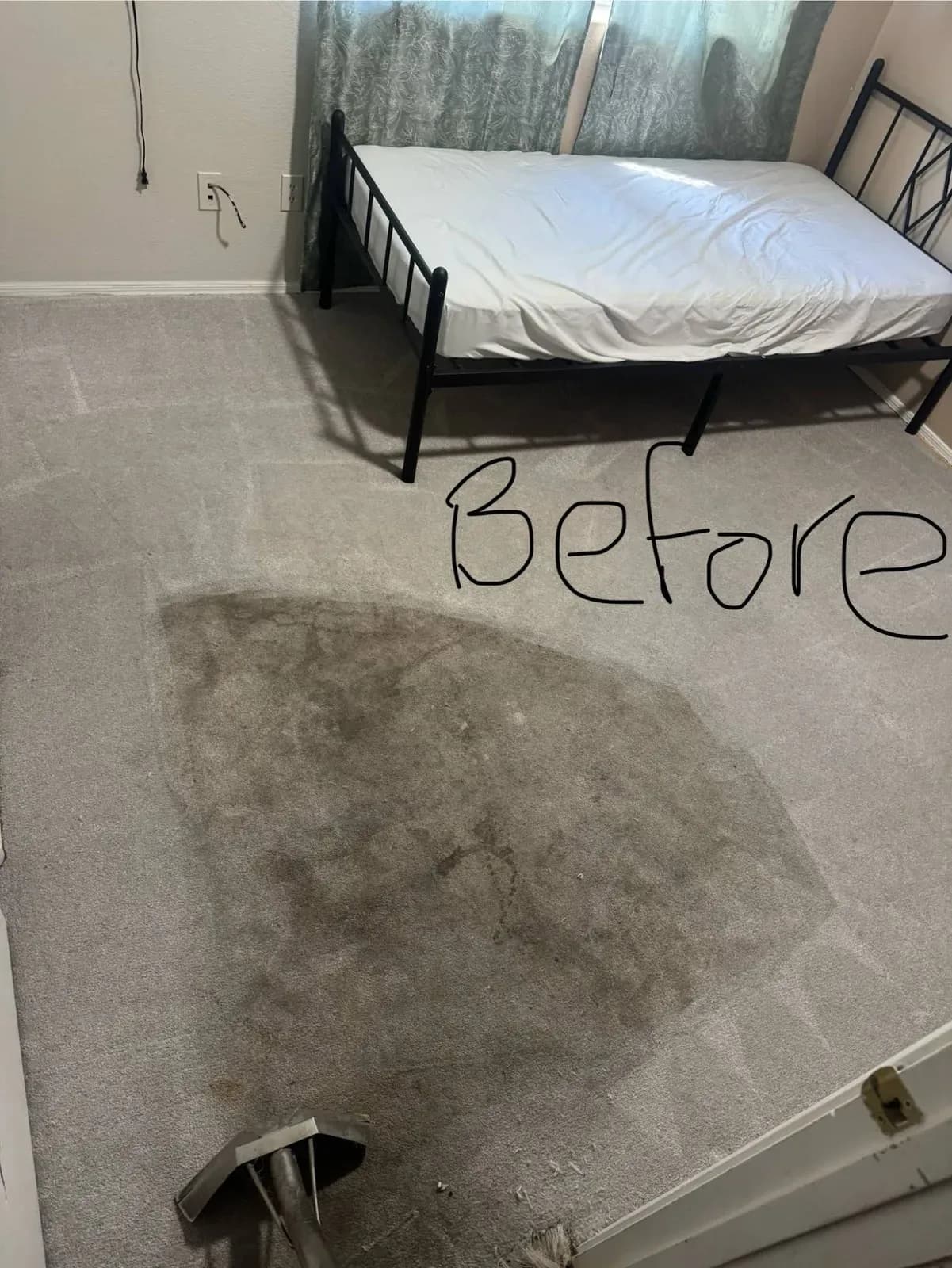 Top Shelf Carpet Cleaners