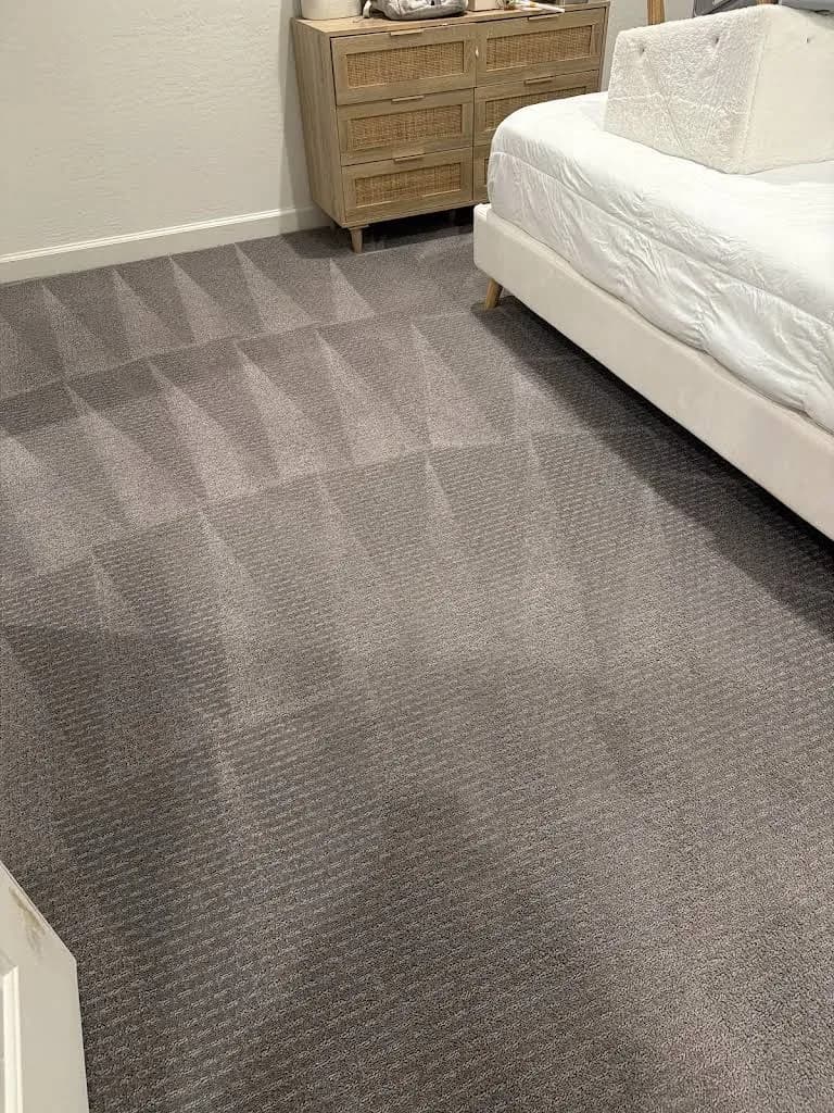 Top Shelf Carpet Cleaners