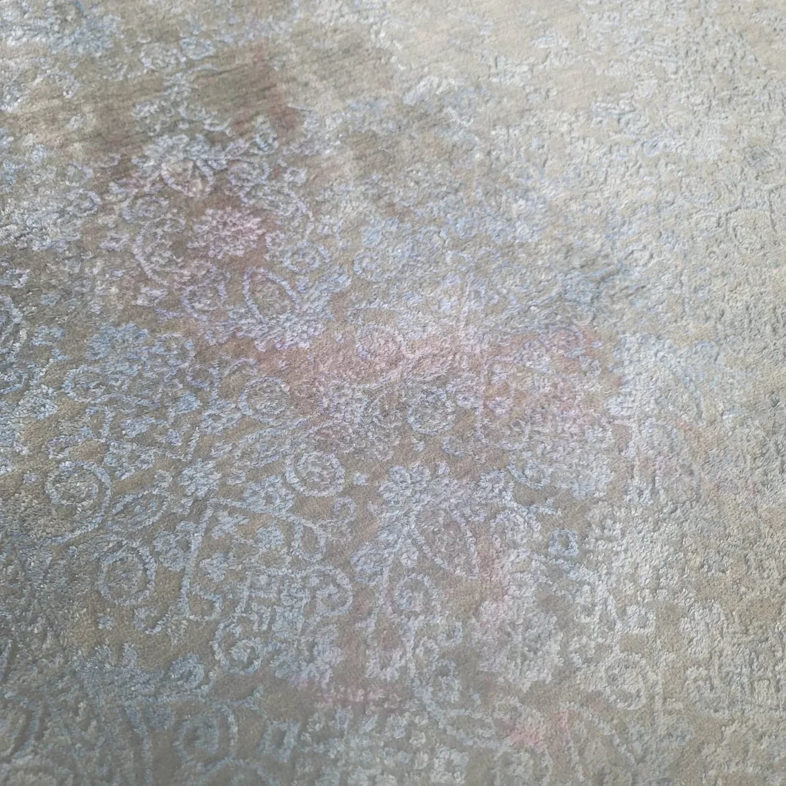 Sears Carpet & Air Duct Cleaning Houston