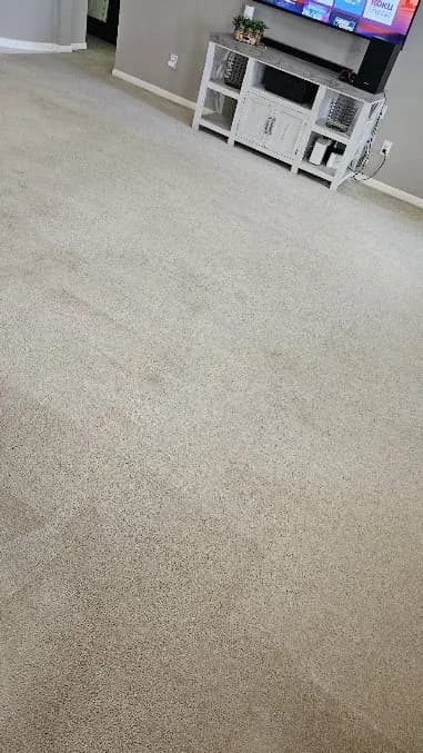 Sears Carpet & Air Duct Cleaning Houston