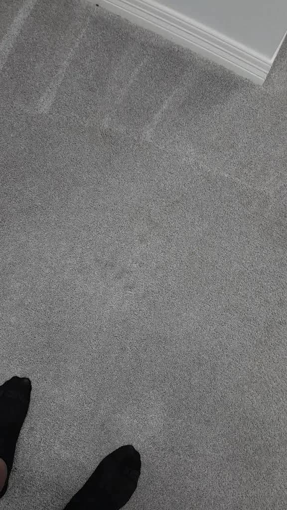 Sears Carpet & Air Duct Cleaning Houston