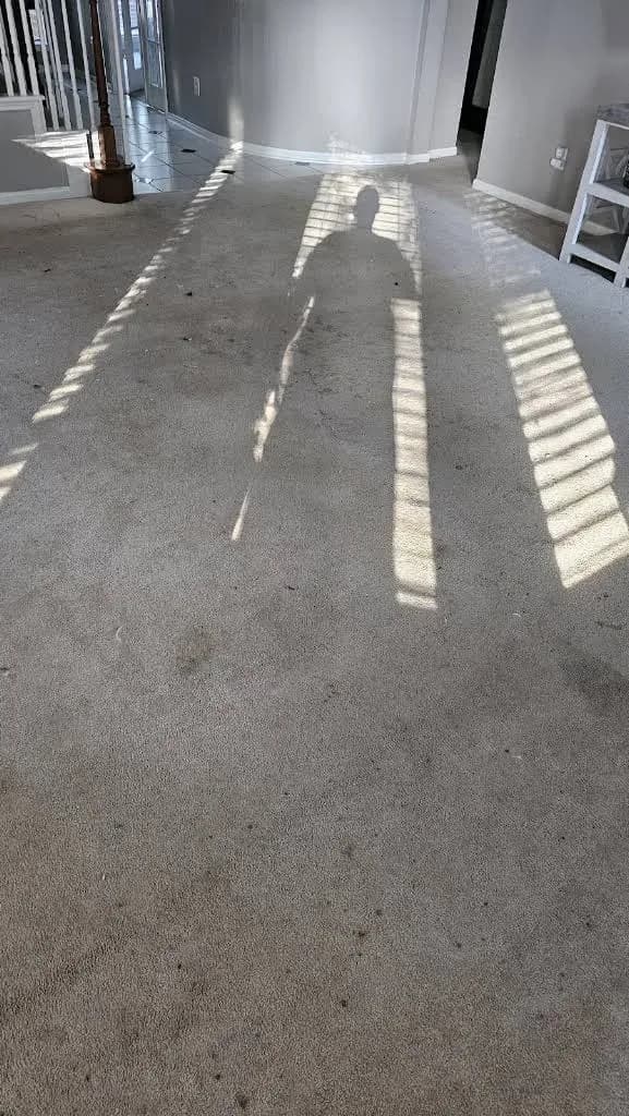 Sears Carpet & Air Duct Cleaning Houston