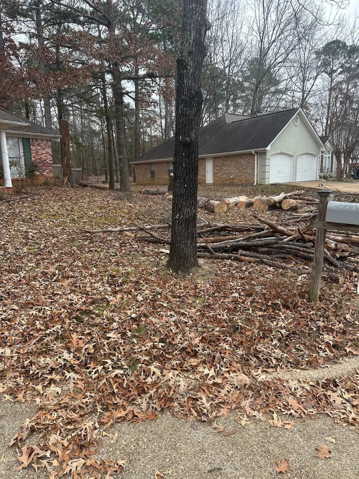RTS Rangel Tree Service LLC.