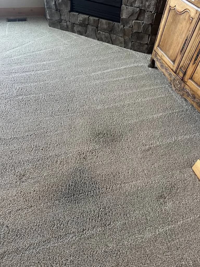 Interior Care Carpet Cleaning Inc