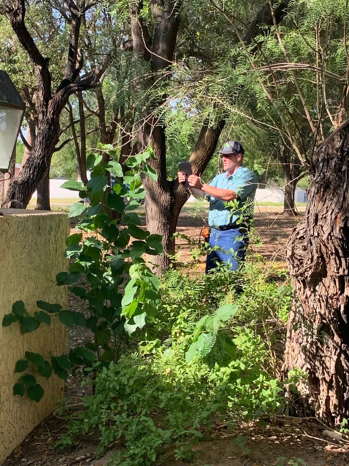 Cactus Property Inspections & Exterminators