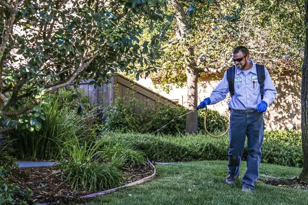EcoForce Pest Management
