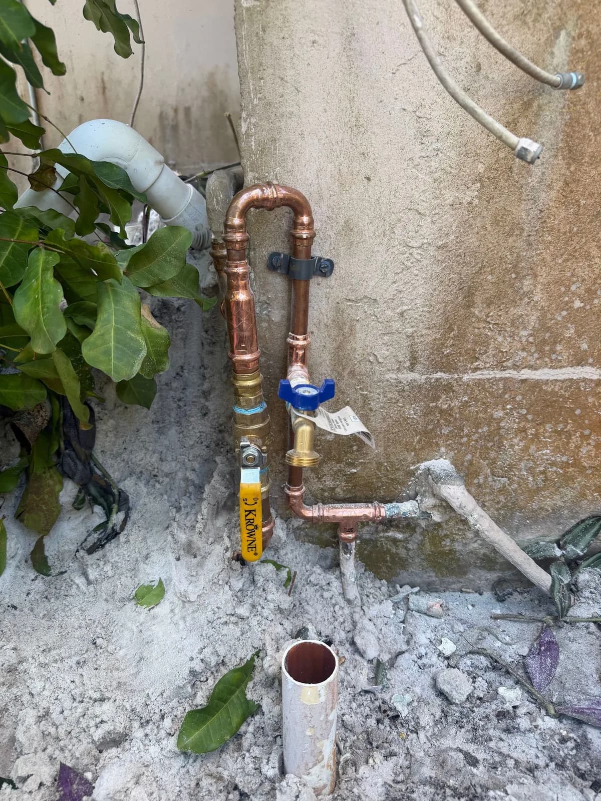 Business photo from Google Maps