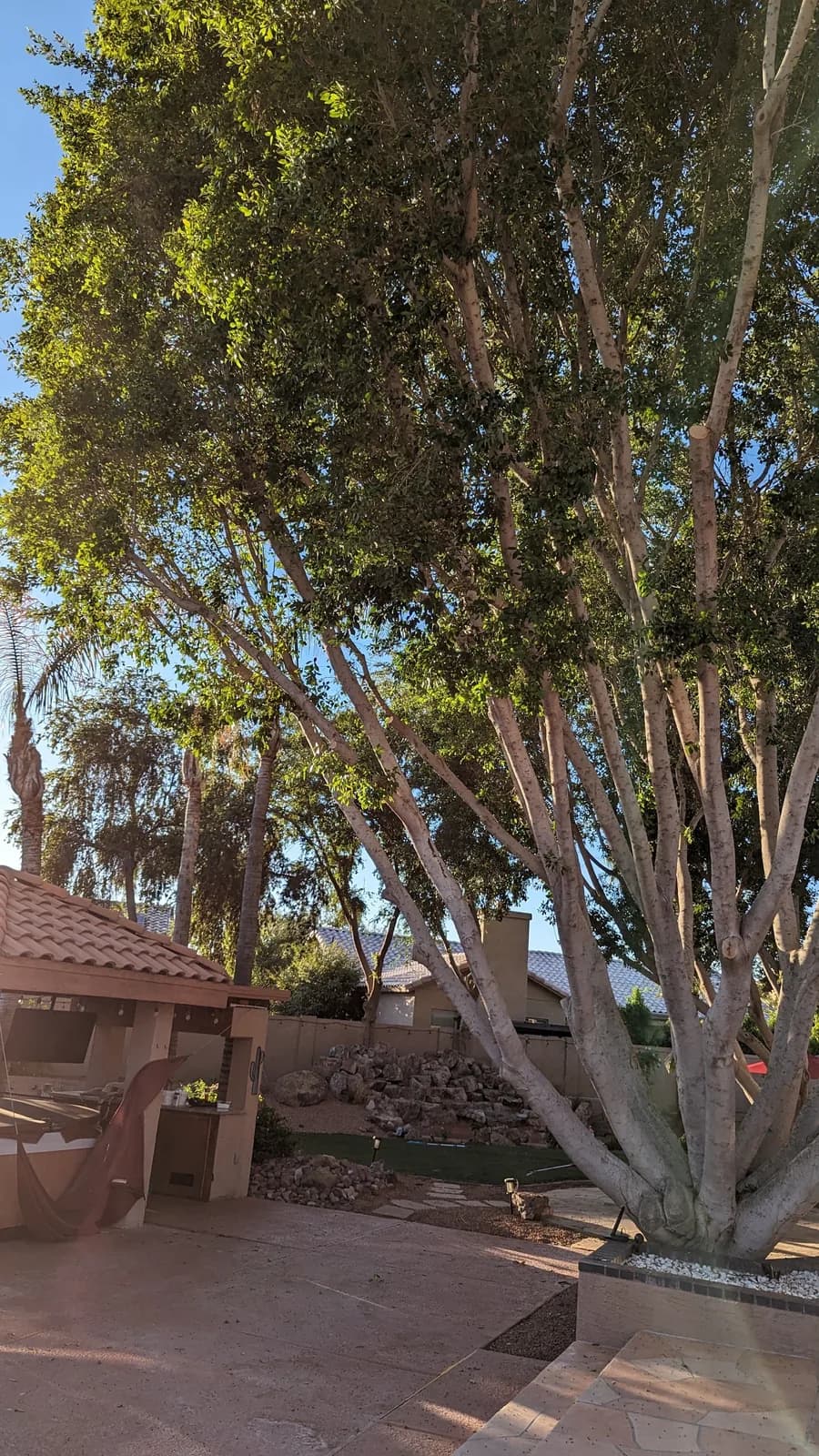 Business photo from Google Maps