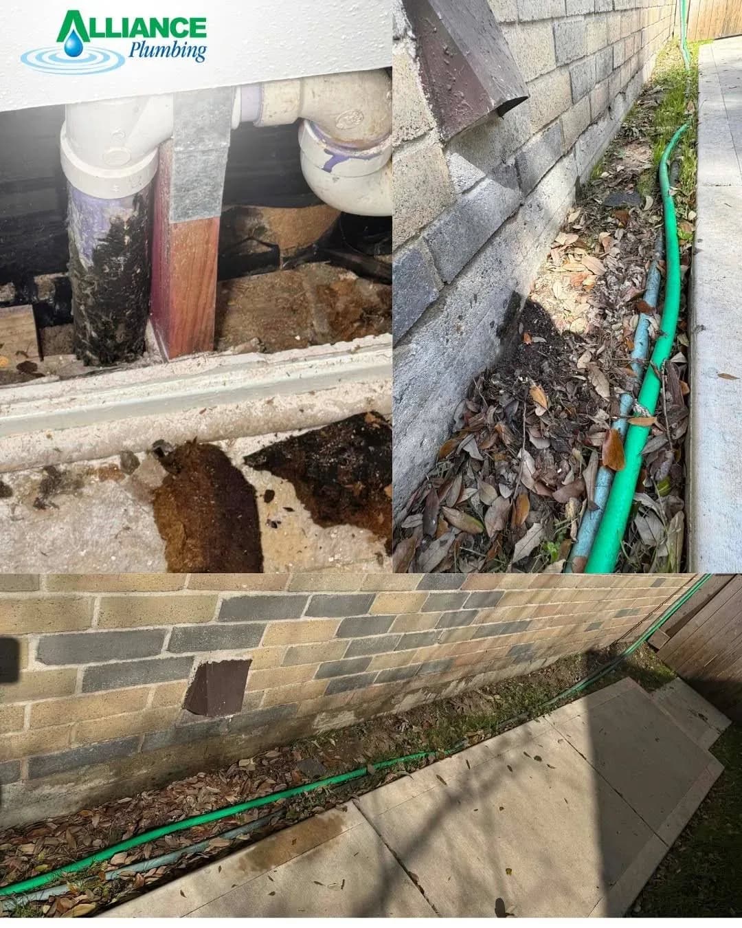 Alliance Plumbing Services
