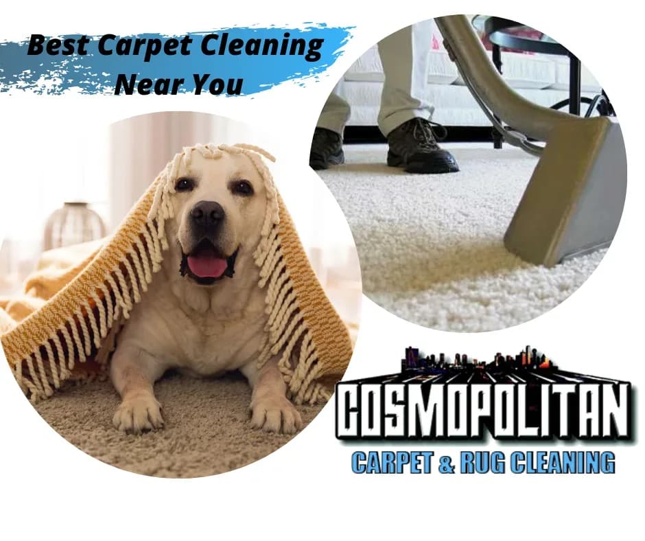 Cosmopolitan Carpet & Rug Cleaning