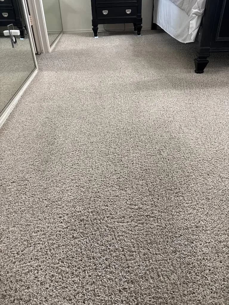 Cosmopolitan Carpet & Rug Cleaning
