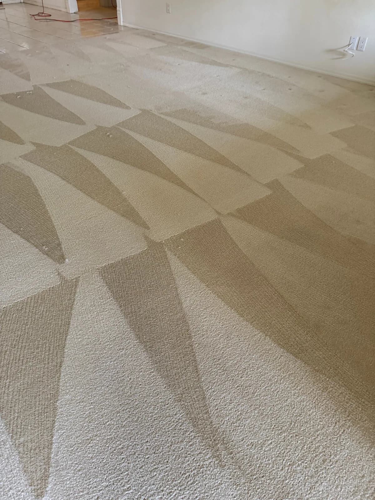 Carpet Clinic Cleaning & Water Damage Restoration