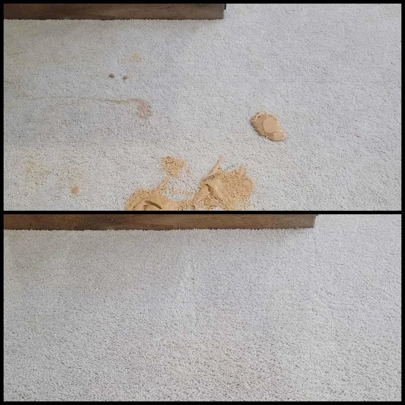 Carolina Carpet Solutions