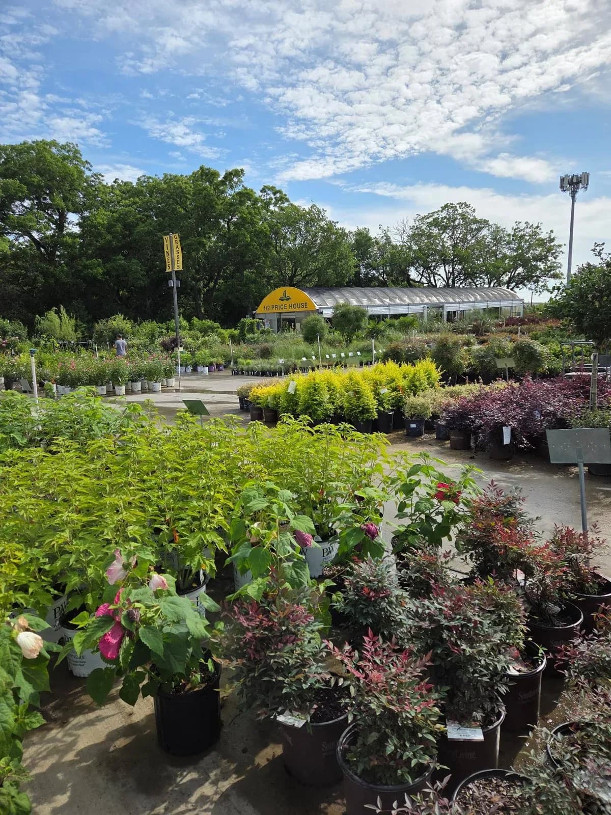 Covington's Nursery and Landscape
