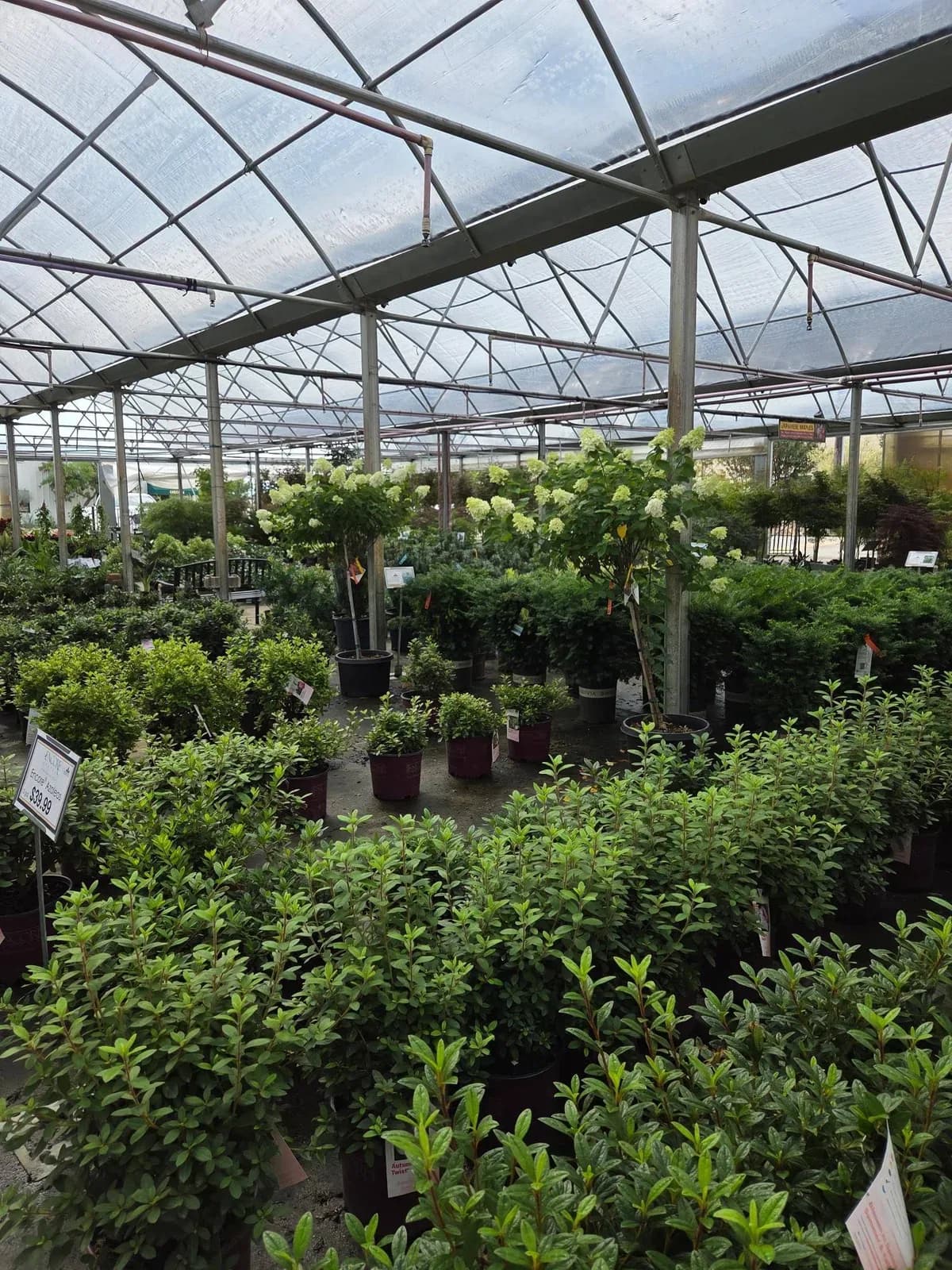 Covington's Nursery and Landscape