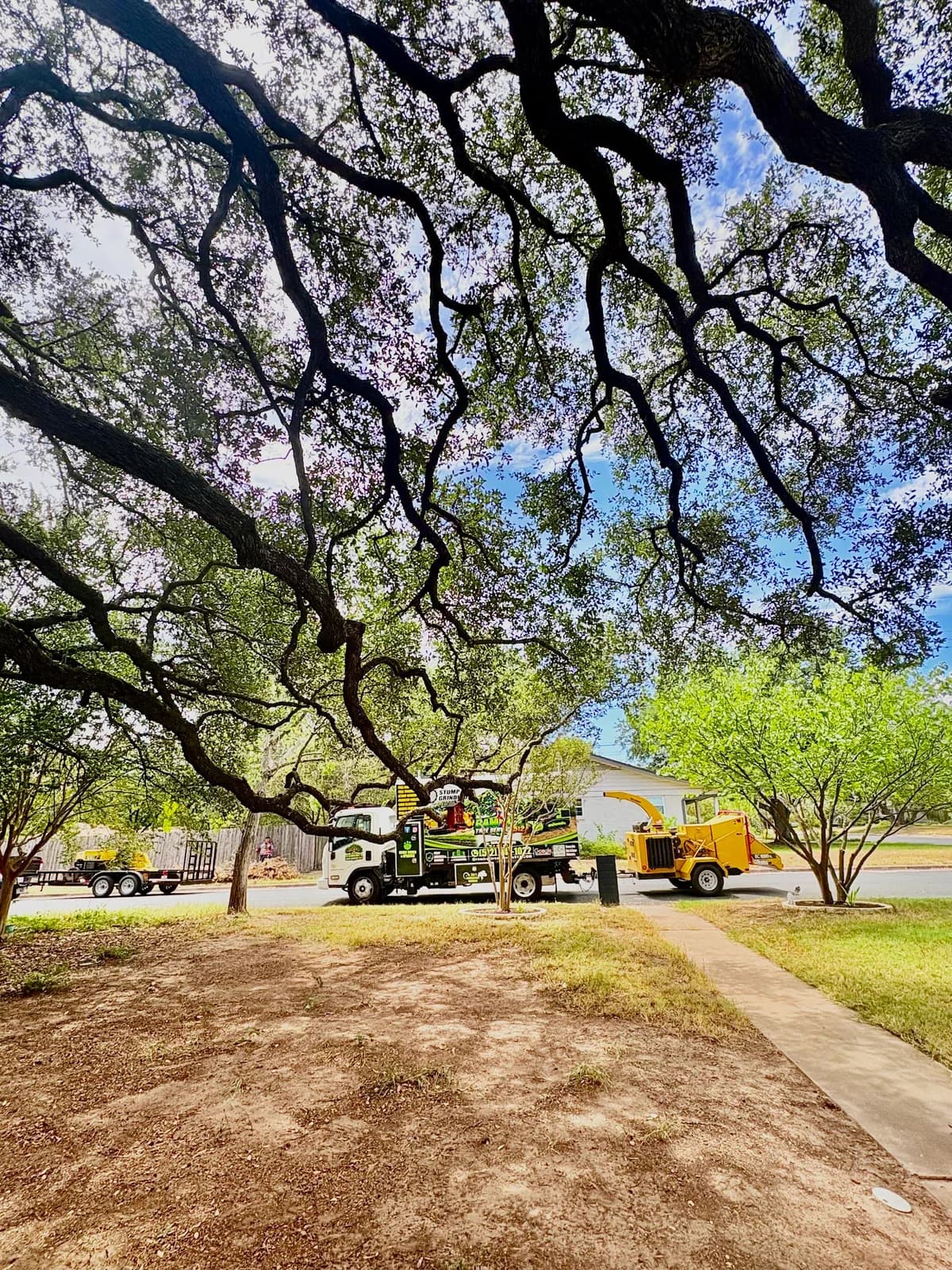 Ramirez Tree Service 512