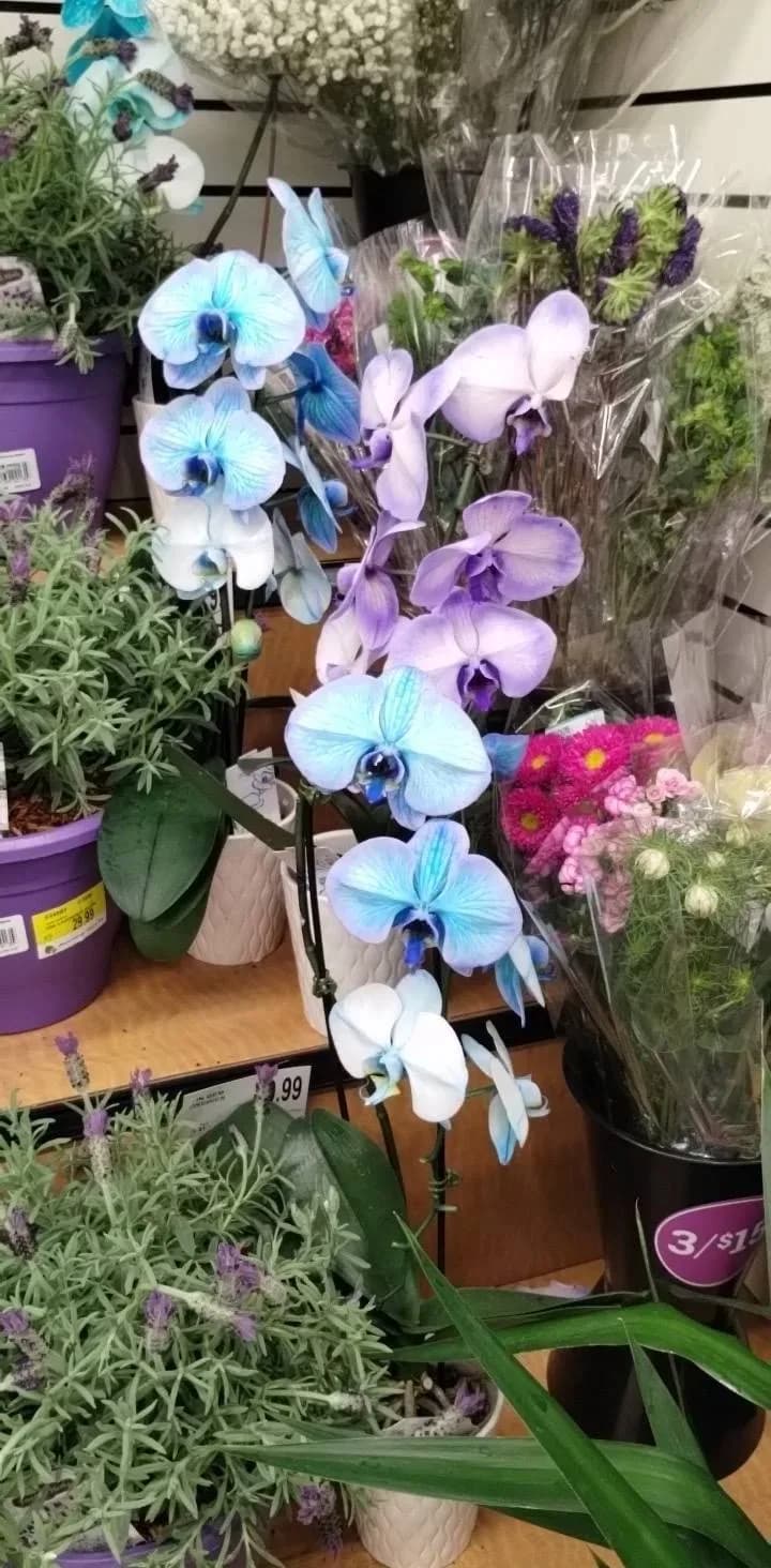 Brookshire's
