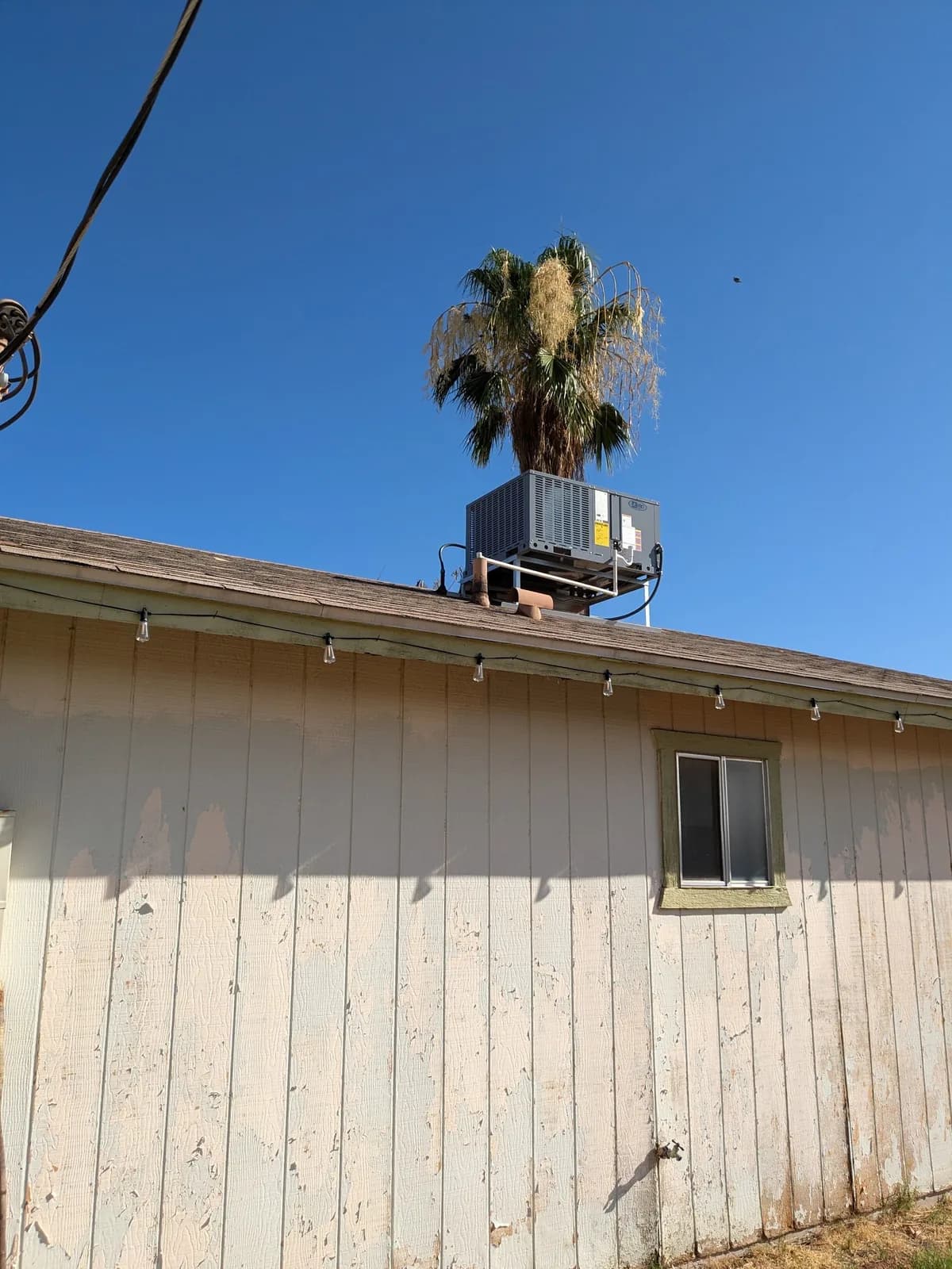 Business photo from Google Maps