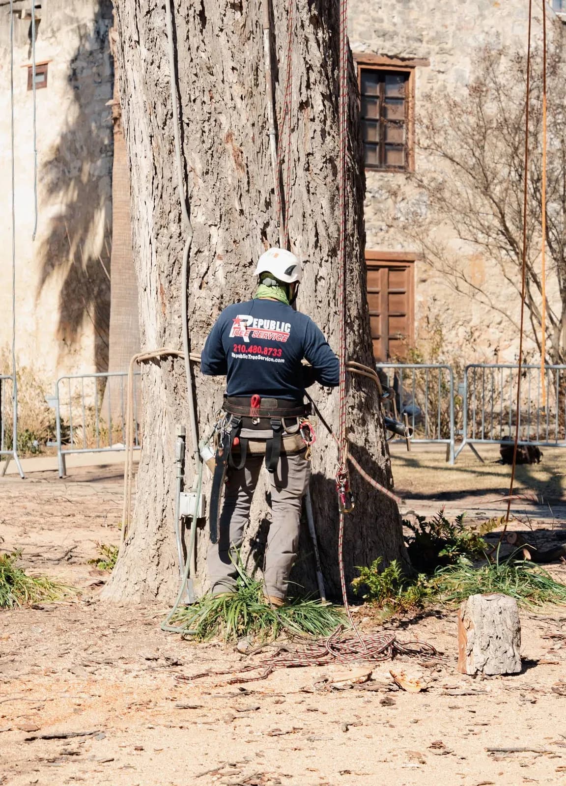 Republic Tree Service