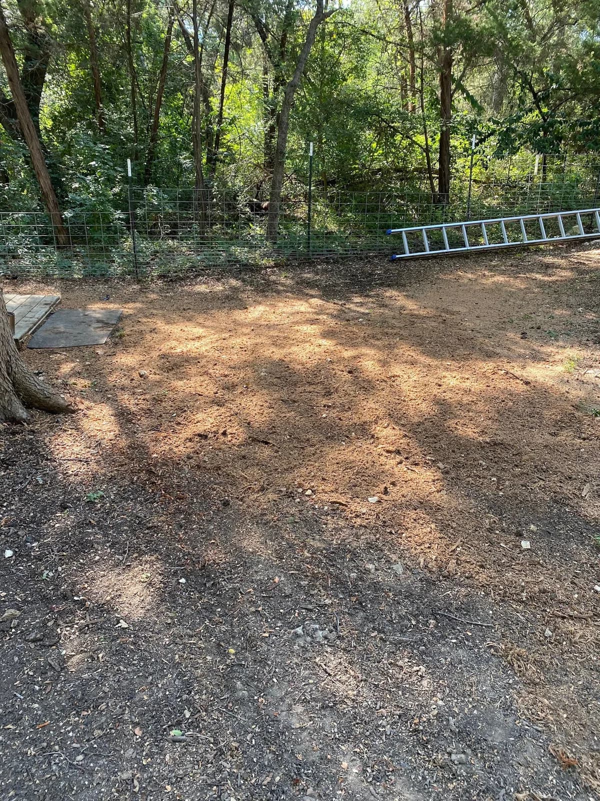 Texas Roots Land Services