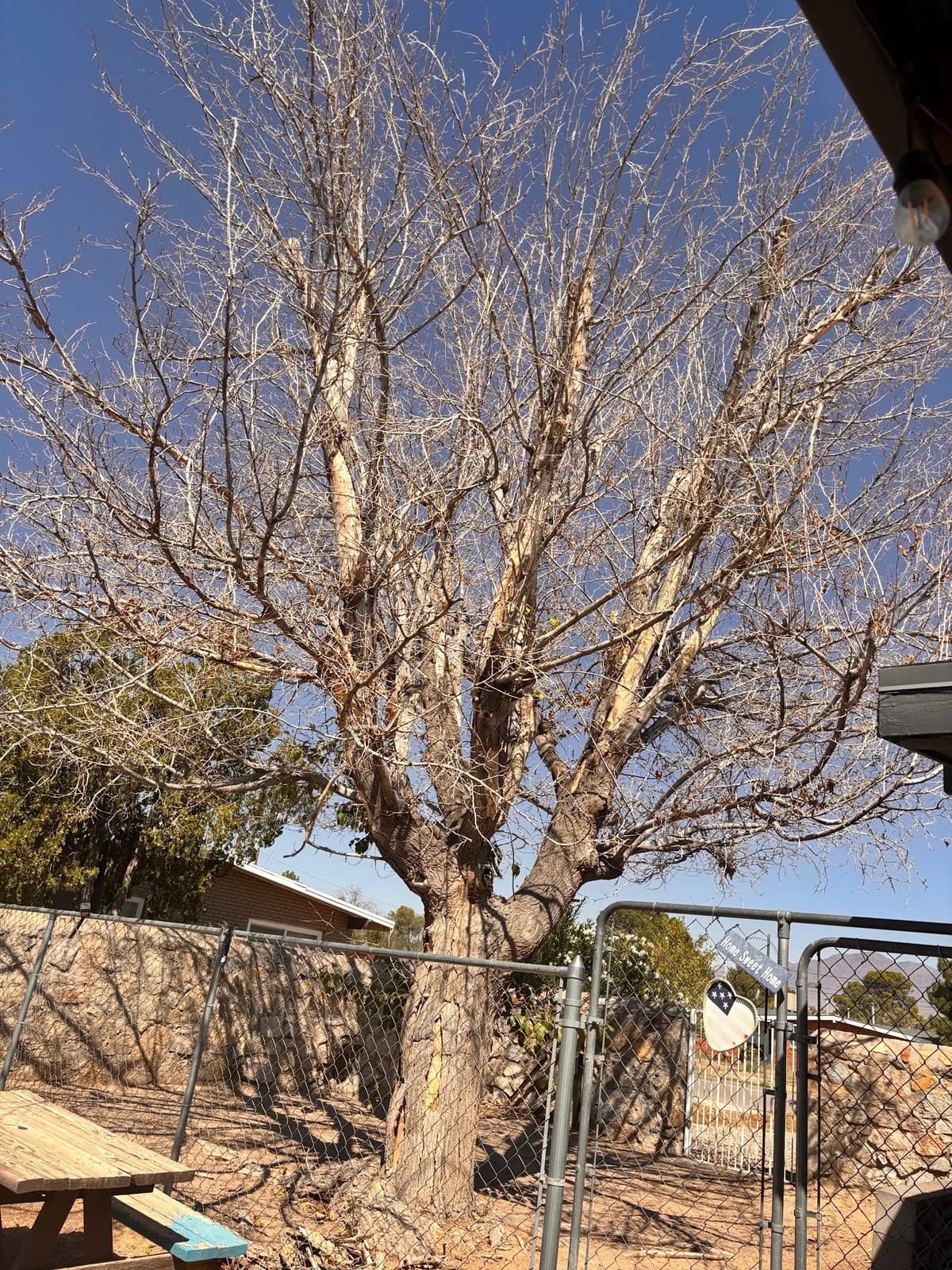 LNJ TREE XPERTS