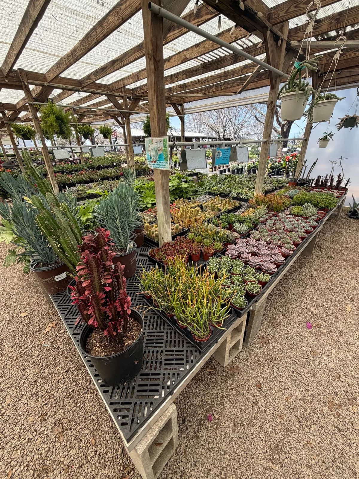 Business photo from Google Maps