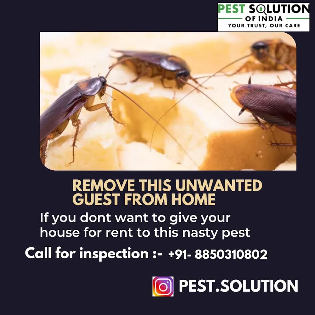 PSI Pest Solution