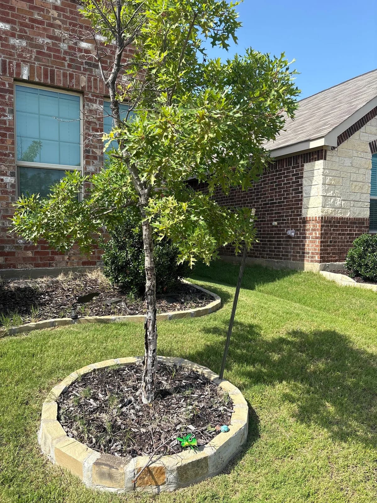 TrashWise Junk Removal