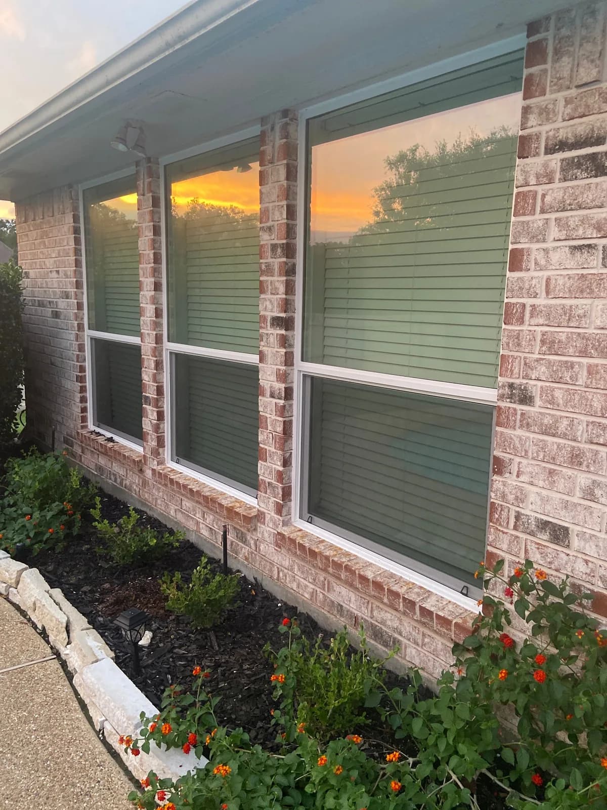 Workhorse Window Co.