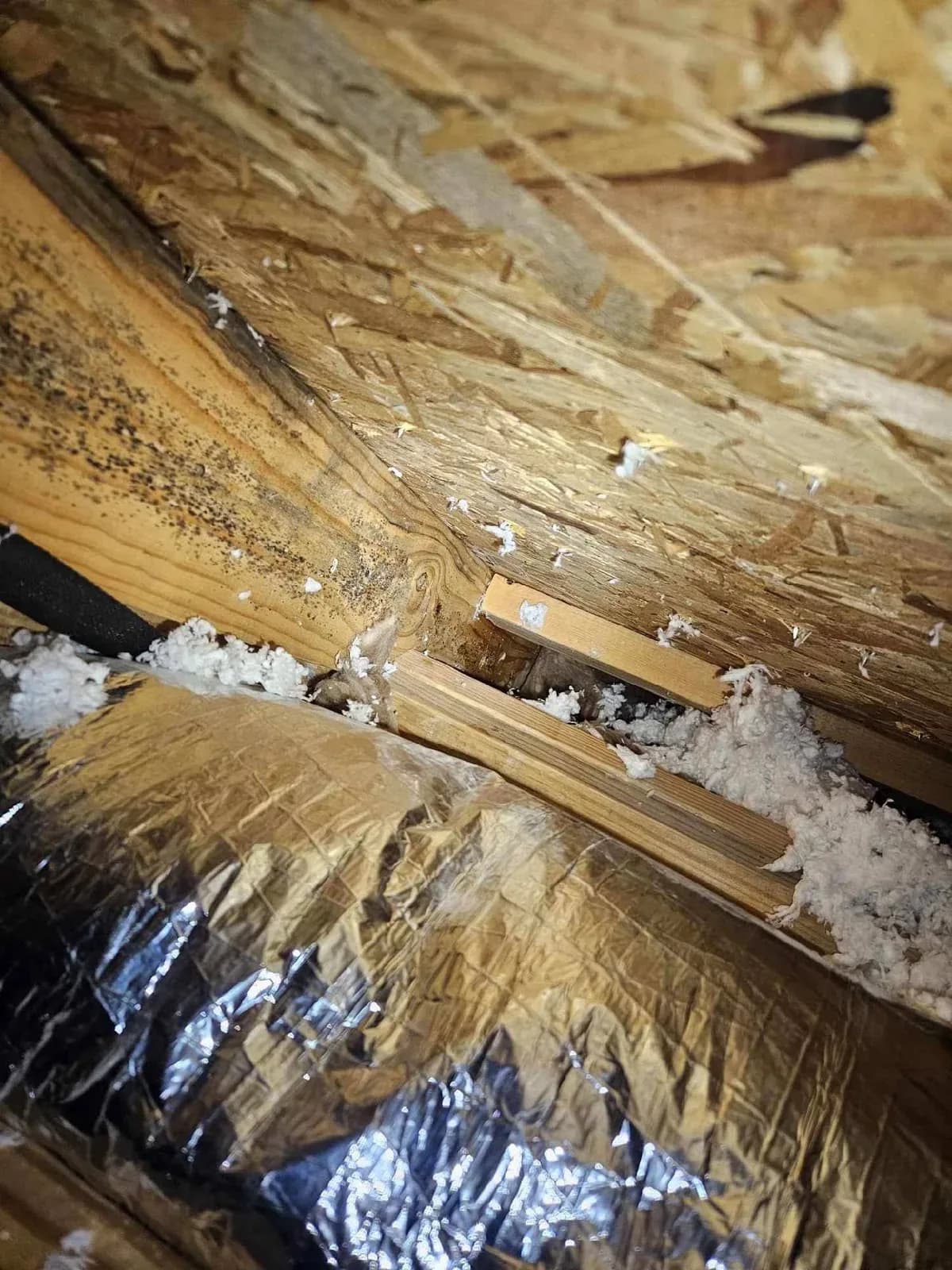 Protex Plumbing & Mechanical, LP