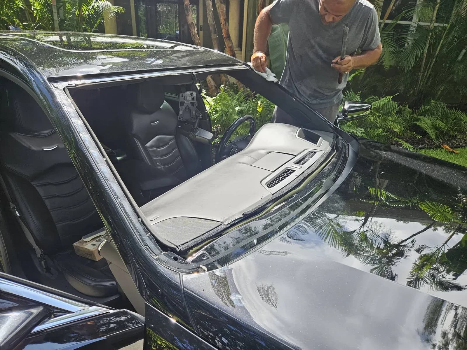 Same Day Windshield
