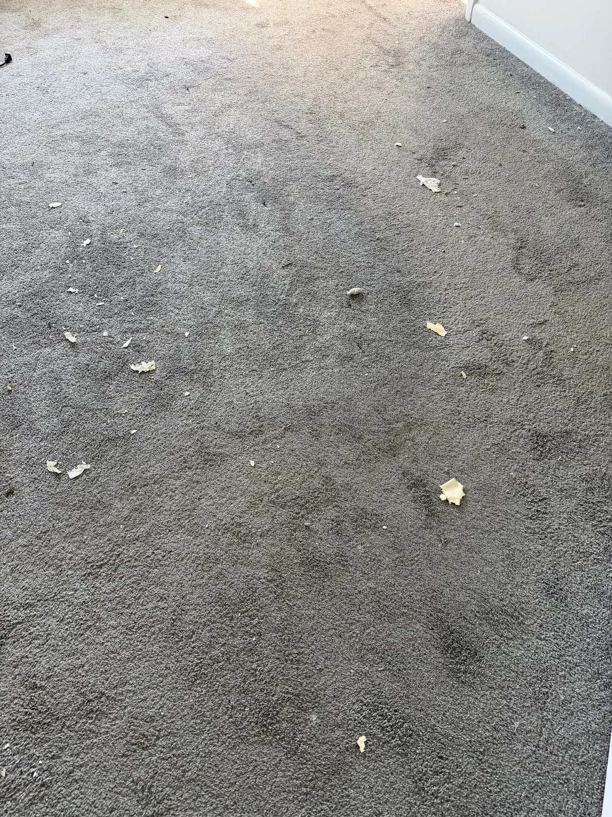 Heaven's Best Carpet Cleaning Bluffton SC