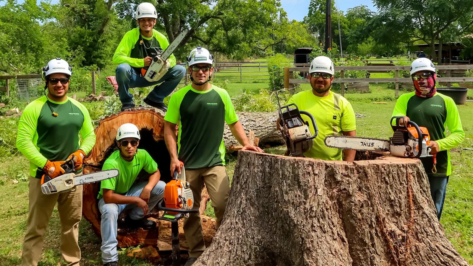 Meadows Tree Service