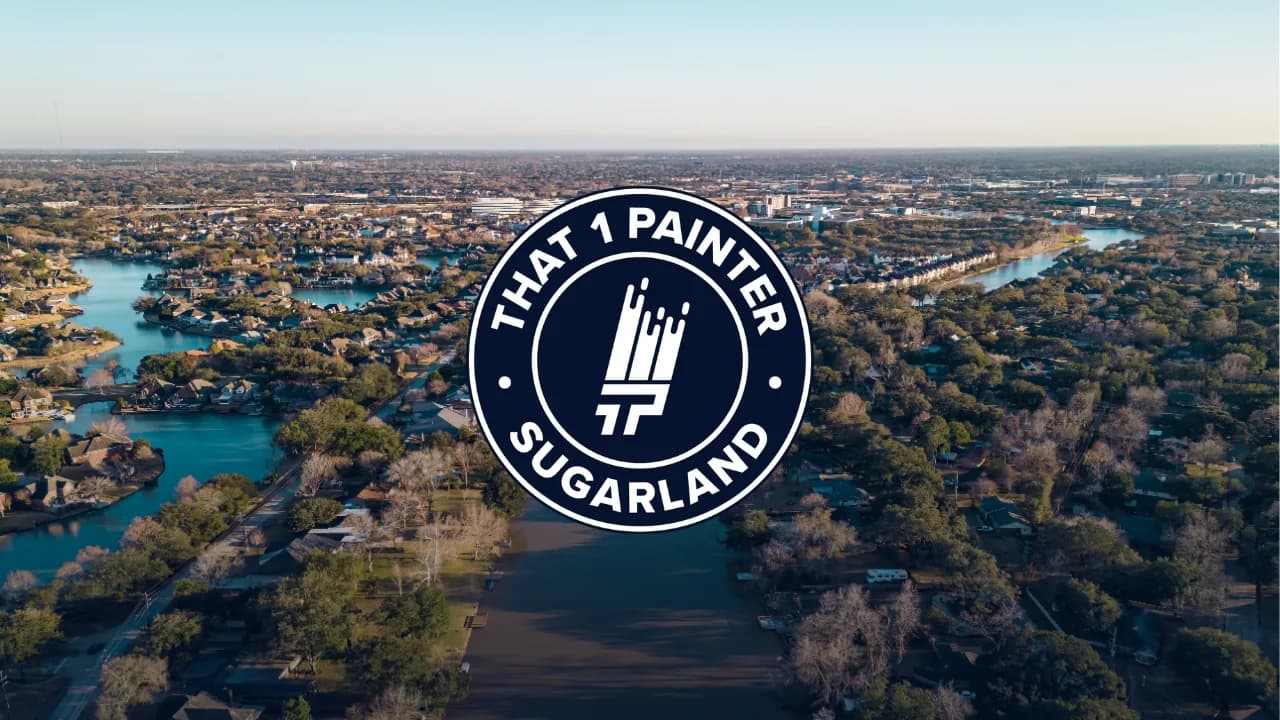 That 1 Painter Sugar Land