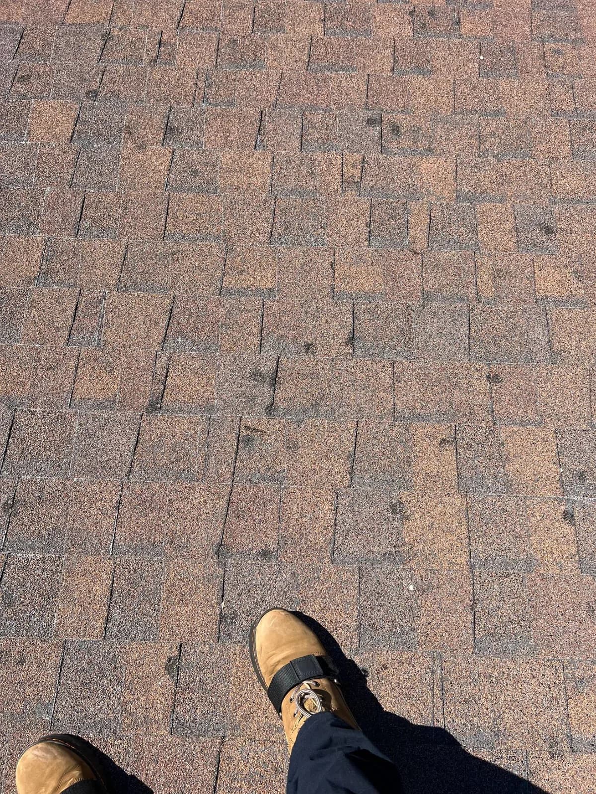 Vertical Solutions Roofing & Construction