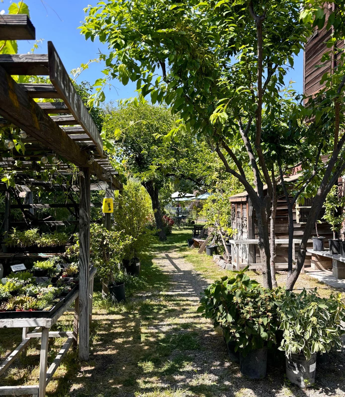Business photo from Google Maps