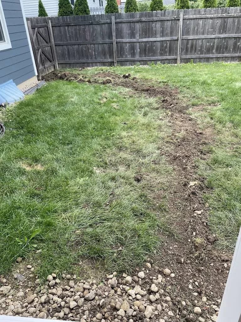 Professional Gutter & Drain